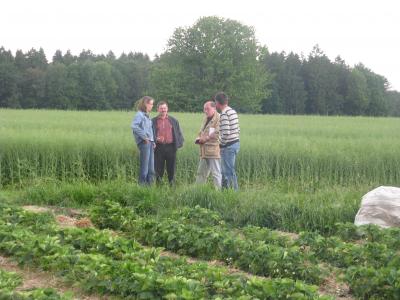 Erdbeerzeit 2009 