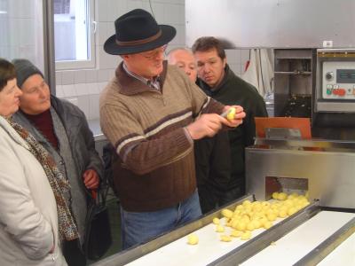 Kartoffeln am FlieÃŸband
