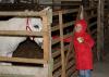 Kinder, Eis und Tiere - Teil 2