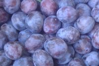 Blaue Pflaumen