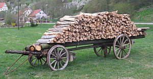 Brennholz