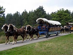 Landpartie mit dem Planwagen