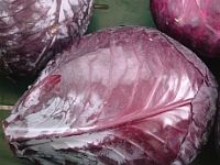 Rotkohl Rotkohl