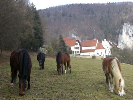 Gutshof K&auml;ppeler