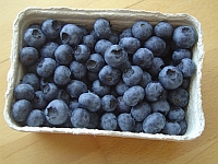 Heidelbeeren Heidelbeeren