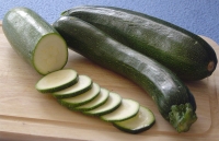 Zucchini